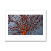 Load image into Gallery viewer, Twilight Tree III
