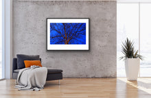 Load image into Gallery viewer, Twilight Tree I
