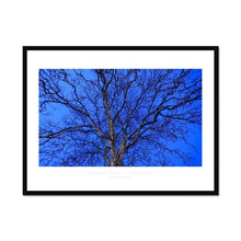 Load image into Gallery viewer, Twilight Tree II
