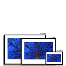 Load image into Gallery viewer, Twilight Tree I
