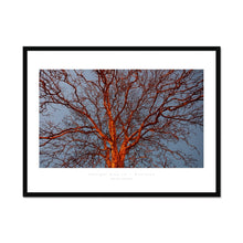 Load image into Gallery viewer, Twilight Tree III
